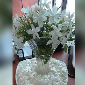 Meet your Posher, Fayiz